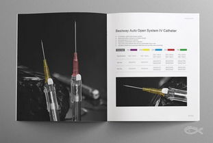 蓝玛设计 专业品牌设计服务，助力企业腾飞